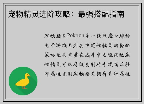 宠物精灵进阶攻略：最强搭配指南